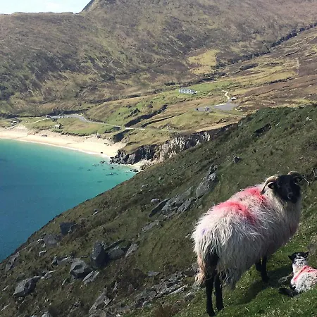 The Garden At Sleepy Hollow 3* Louisburgh