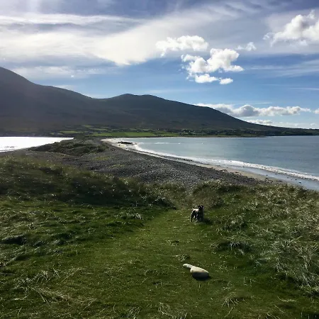 The Garden At Sleepy Hollow * Louisburgh
