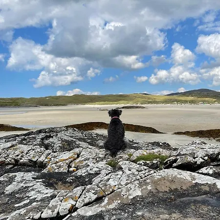 Bed and breakfast The Garden At Sleepy Hollow