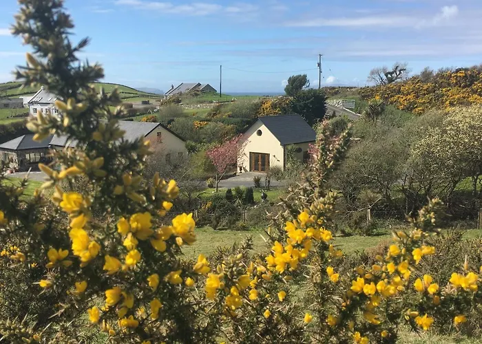 Bed & Breakfast The Garden At Sleepy Hollow Louisburgh