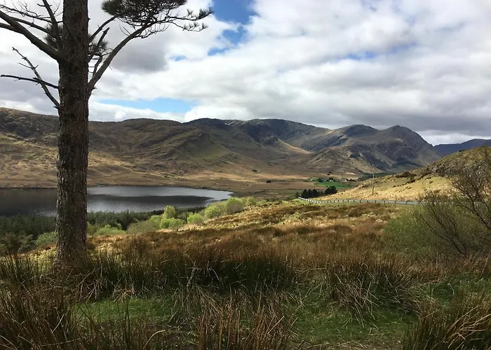 The Garden At Sleepy Hollow