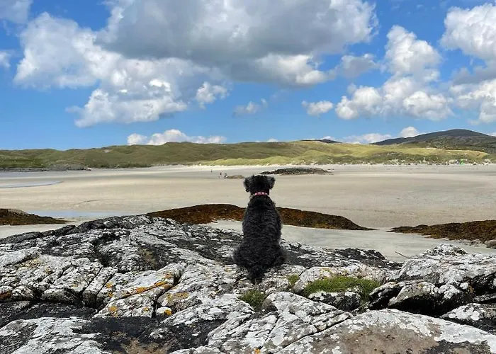 Bed & Breakfast The Garden At Sleepy Hollow